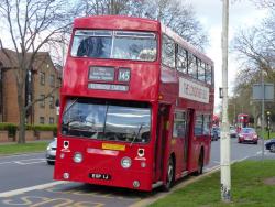 ROUTES 145 AND 62 RUNNING DAY